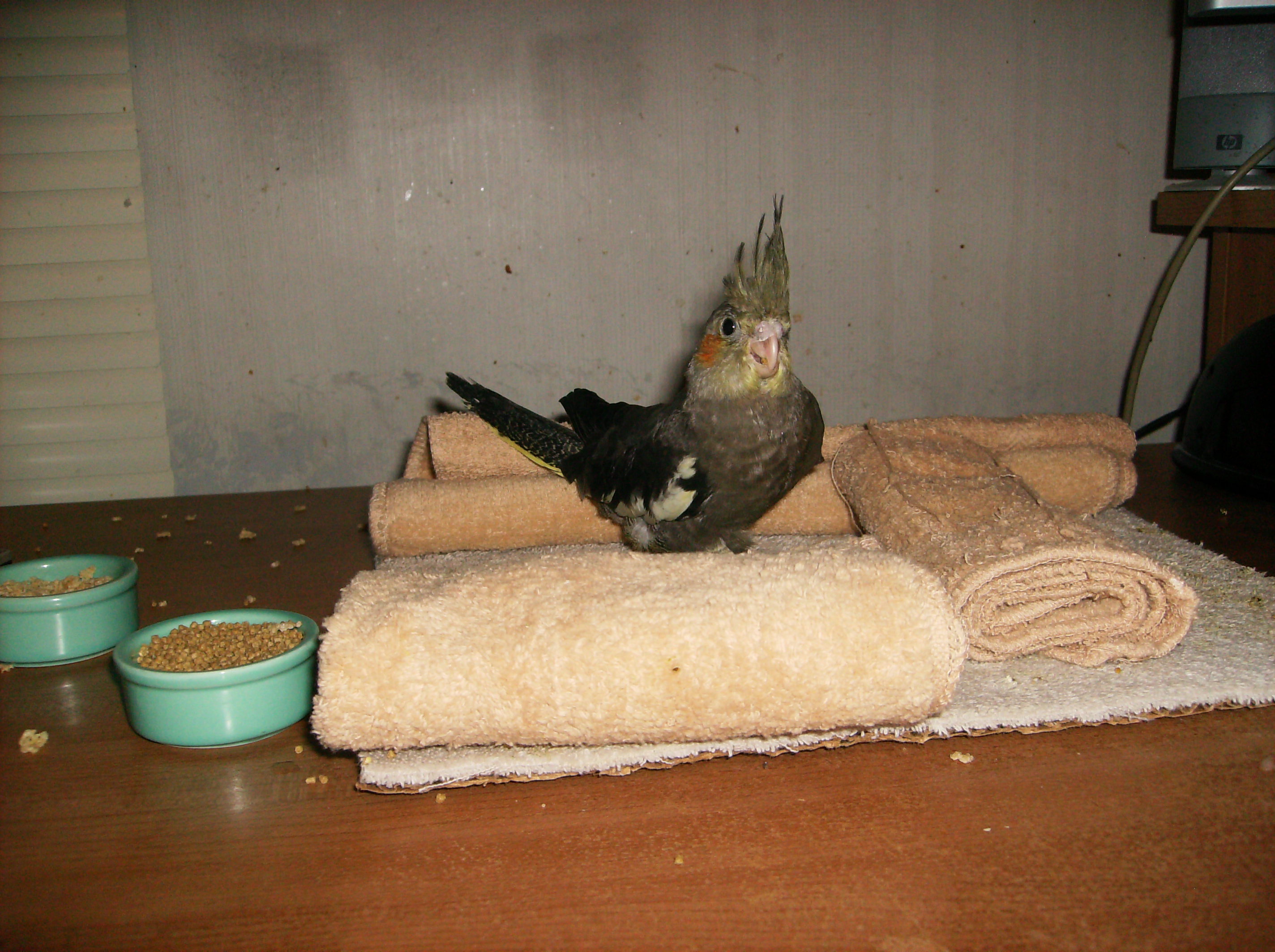 Baby Carly Awake