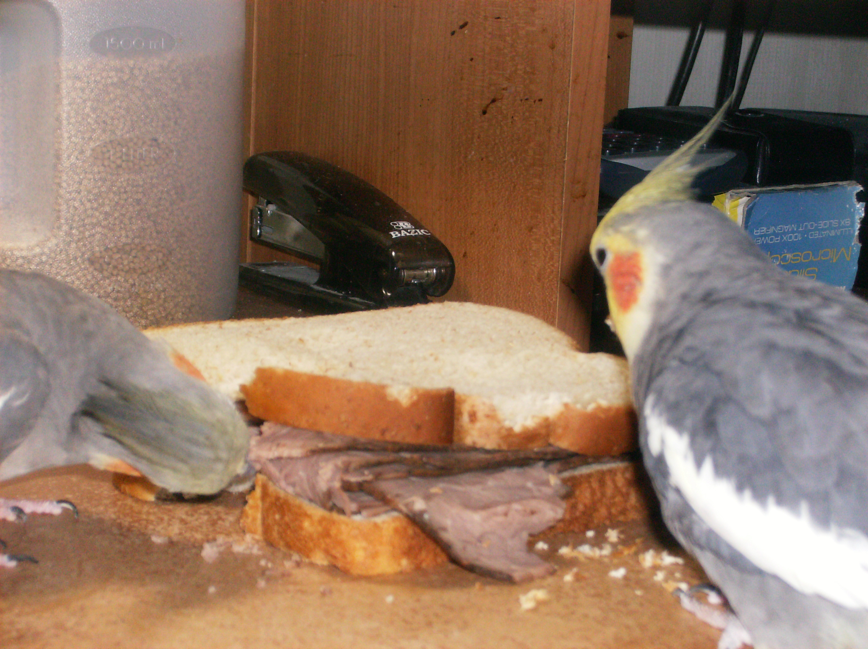Roast Beef Two